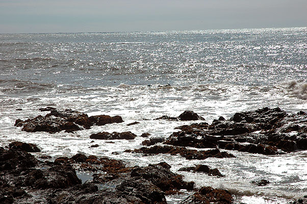 Cambria February 2011 015.JPG